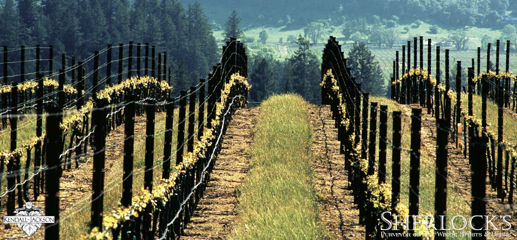 Atlanta’s Finest Wine, Liquor and Beer Stores Atlanta Wine Liquor Beer